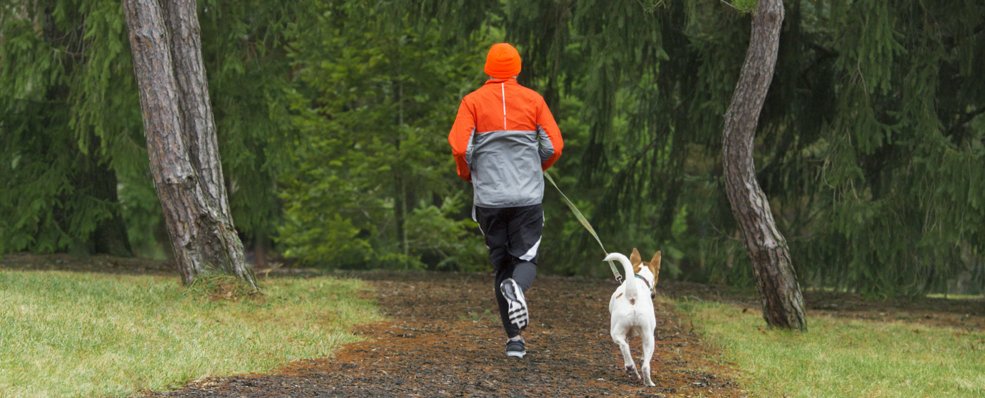 Person running with dog